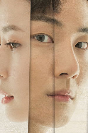 친애하는 판사님께