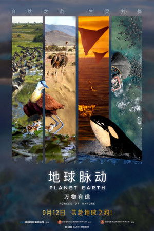 Planet Earth: Forces of Nature