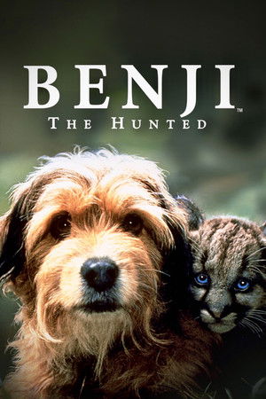 Av Köpeği Benji