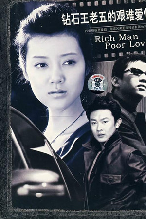 钻石王老五的艰难爱情