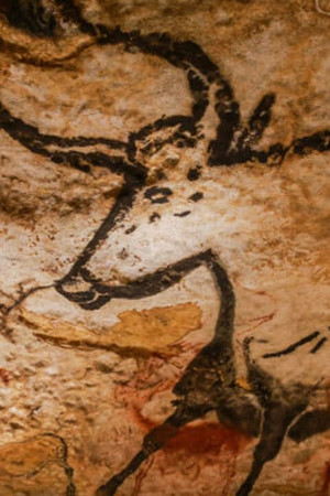 La lotta dell'uomo per la sua sopravvivenza