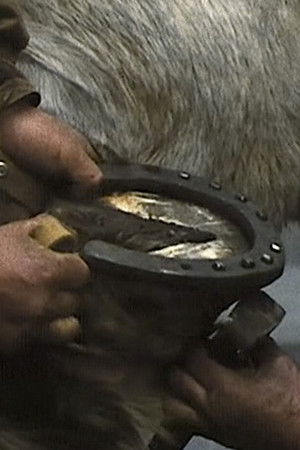 Le maréchal-ferrant