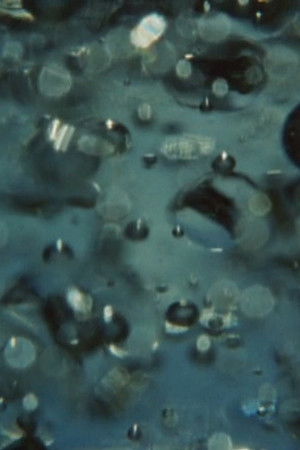 Pour une jeune Cineaste