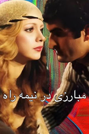 مبارزی در نیمه راه