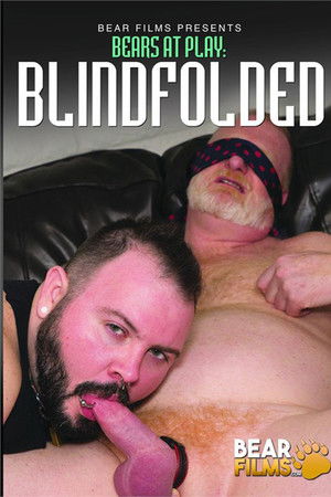 Bears at Play: Blindfolded