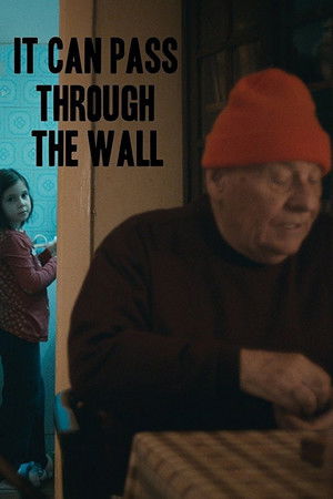 Trece si prin perete