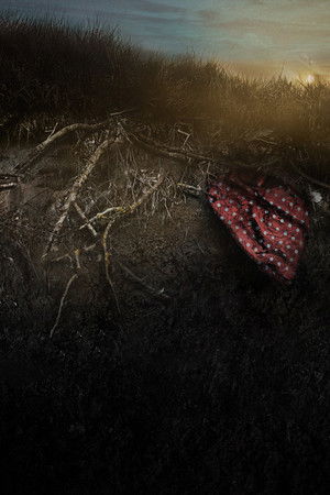 Kimsenin Olmadığı Topraklar