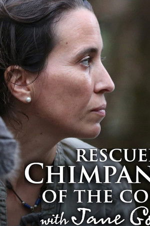 Rescued Chimpanzees of the Congo with Jane Goodall