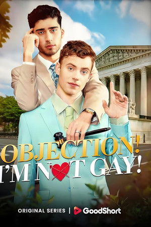 Objection! I'm Not Gay!