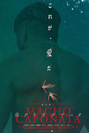 強がりカポナータ