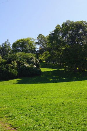 水曜どうでしょう