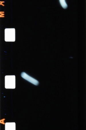 Avant et après le dernier samedi d'avril