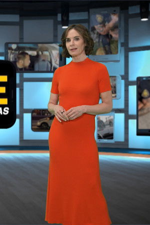 iCrime with Elizabeth Vargas