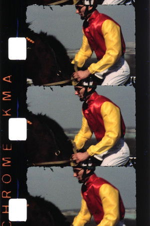 Chevaux (Introduction)