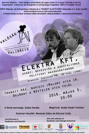 Elektra Kft. avagy: bevezetés a kapitalizmus politikai gazdaságtanába