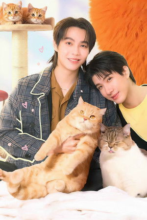 เปย์รักด้วยแมวเลี้ยง