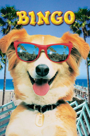 Kahraman Köpek Bingo