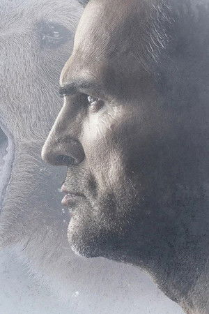 Закон тайги