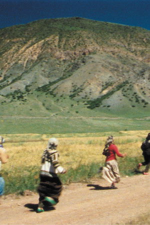 Yolcularin gece sarkisi