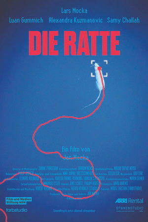 Die Ratte