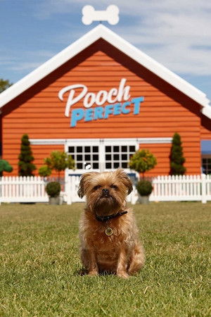 Pooch Perfect