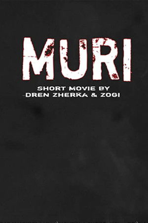 Muri