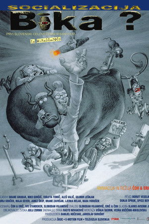 Socializacija bika?