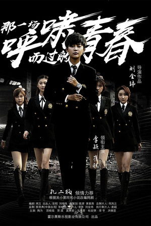 那一场呼啸而过的青春