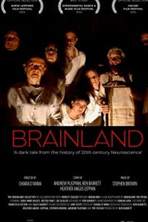 Brainland
