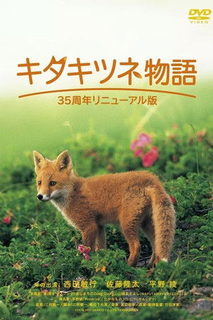 キタキツネ物語