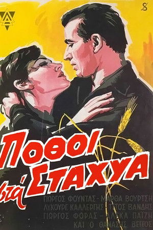 Πόθοι στα Στάχυα