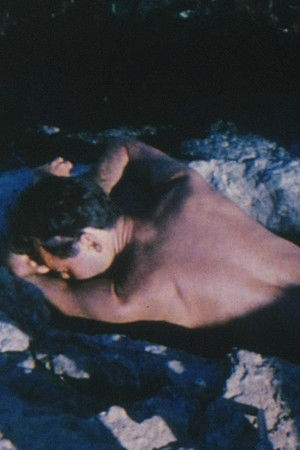 Early Monthly Segments