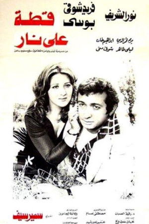 قطة على نار