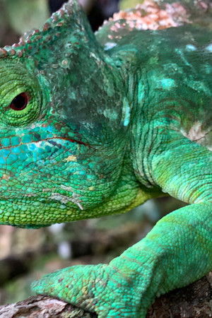 Unbekanntes Madagaskar