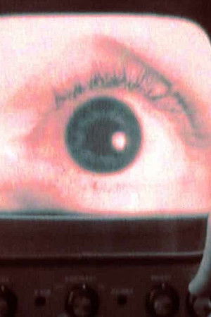 Seven Zarafetteki Makinelerin Gözetiminde