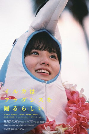 イルカはフラダンスを踊るらしい