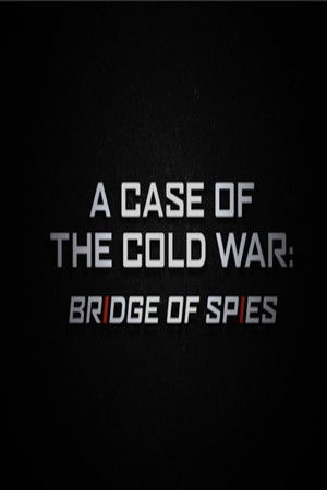 A Case of the Cold War: Bridge of Spies
