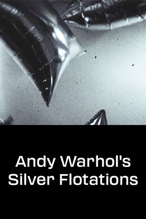 Andy Warhol's Silver Flotations