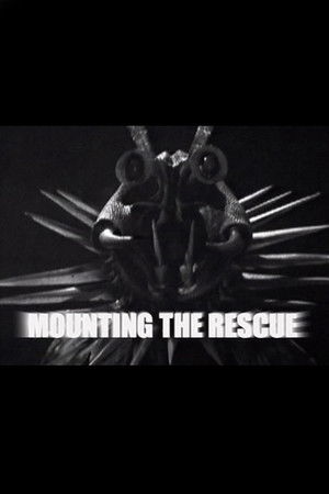 Mounting the Rescue
