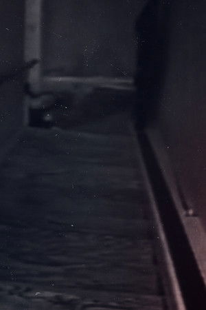 An American Murder Mystery: The Staircase