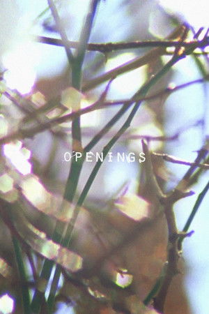 Openings