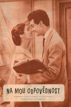 Pe răspunderea mea
