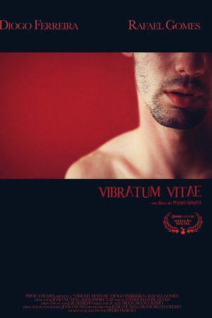 Vibratum Vitae