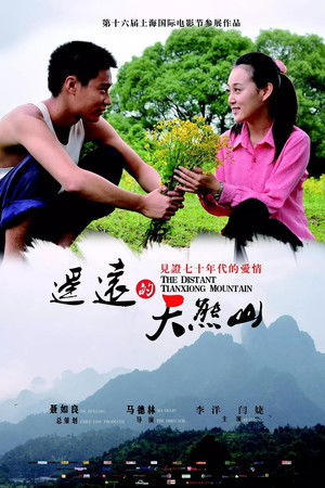 The Distant Tianxiong Mountain