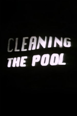 Cleaning the Pool