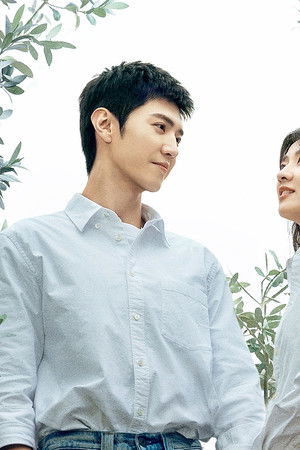 The White Olive Tree