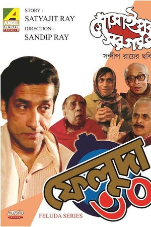 গোঁসাইপুর সরগরম