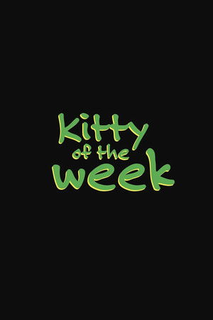Kitty of the Week