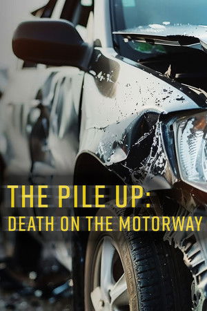 The Pile-Up: Death on the Motorway