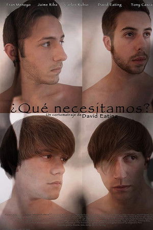 ¿Qué necesitamos?